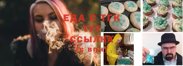 стаф Каменка