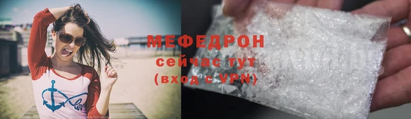 стаф Каменка