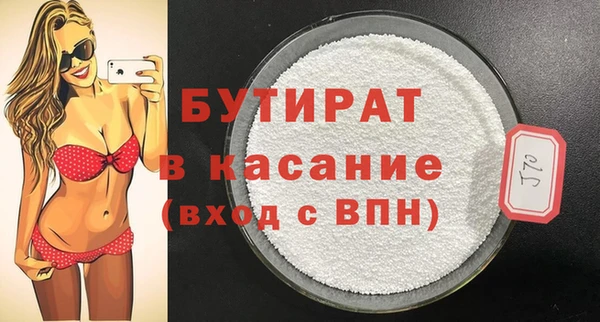 стаф Каменка