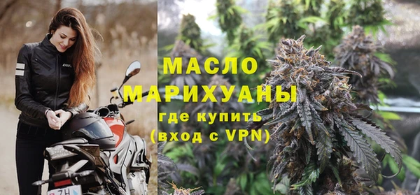 стаф Каменка