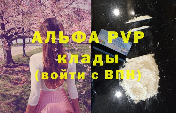 Альфа ПВП Инта