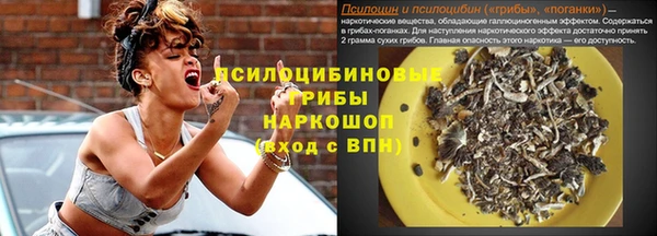 Альфа ПВП Инта