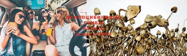 дживик Каменногорск