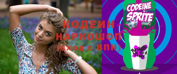 Альфа ПВП Инта