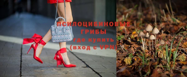 дживик Каменногорск