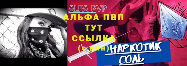 Альфа ПВП Инта