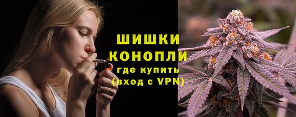 кокс Инсар