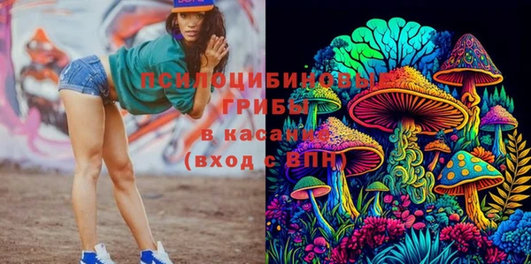 стаф Каменка