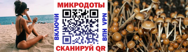 Галлюциногенные грибы MAGIC MUSHROOMS  Касли 